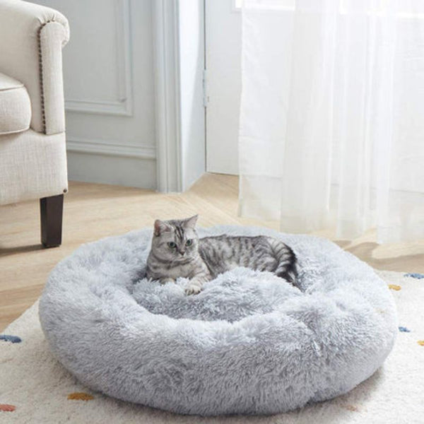Vuoi dare al tuo gatto una vita confortevole?