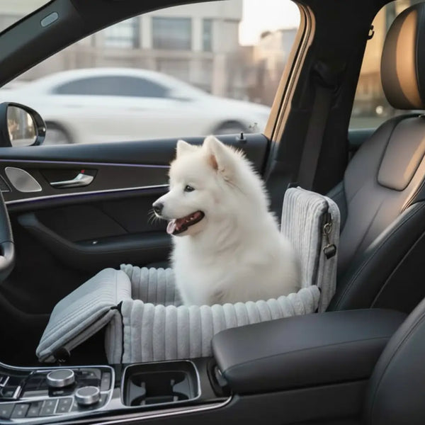 Rendi ogni viaggio in auto sicuro e confortevole per il tuo cane