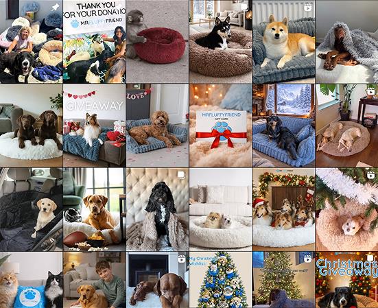 Collage di foto inviate dai clienti di animali (cani, gatti) sui prodotti MrFluffyFriend
