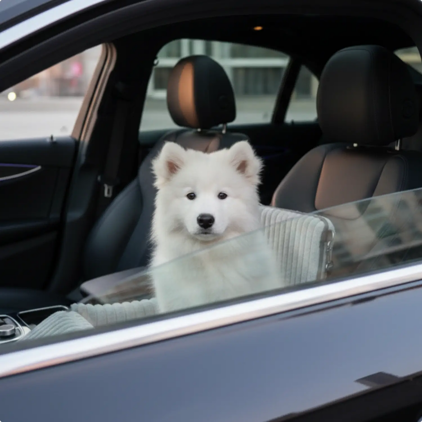 MrFluffyFriend™ - Seggiolino Auto per Cani Sicuro e Confortevole