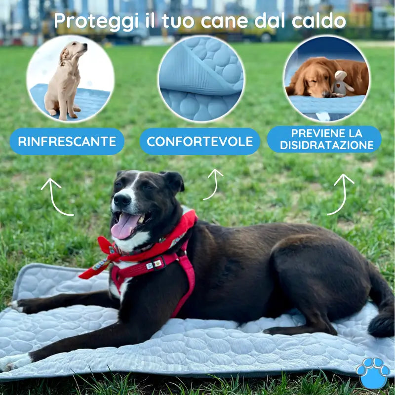 MrFluffyFriend™ - Tappetino Rinfrescante per Cani
