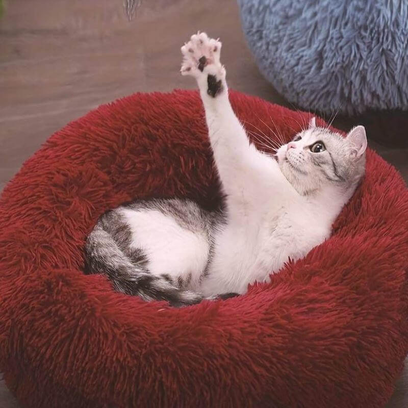 MrFluffyFriend™ - La Cuccia Anti-Ansia per Gatto