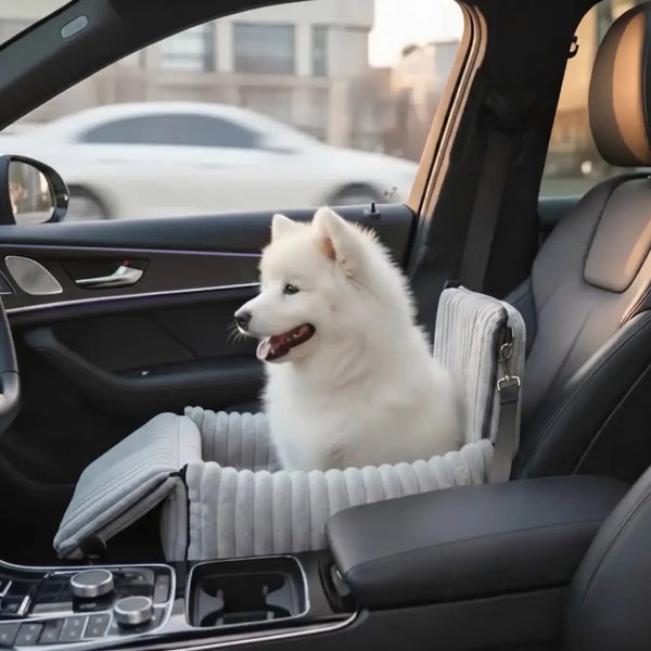 Rendi ogni viaggio in auto sicuro e confortevole per il tuo cane