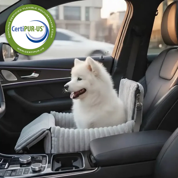 Rendi ogni viaggio in auto sicuro e confortevole per il tuo cane
