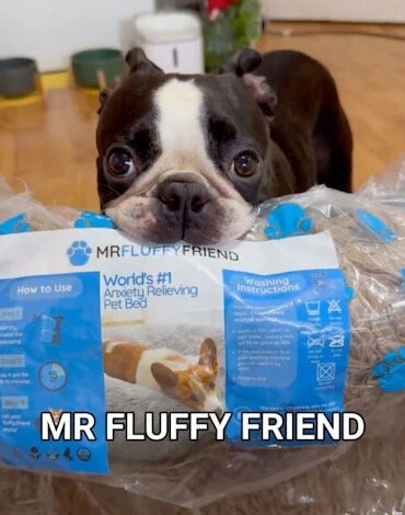 Valentina - 54 - Verona